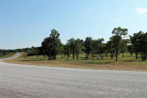 Lot 119 TBD 2807 Highway