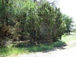 13081 Crestwood Drive