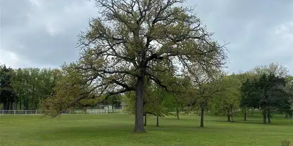 Lot 32 Jackson Circle