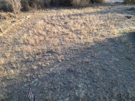 5442 Lake Granbury Trail