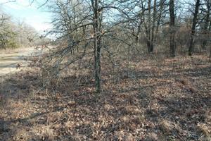 141 Briarwood Trail