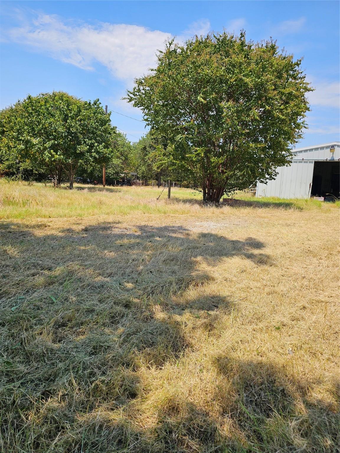 Image 4 Image 4