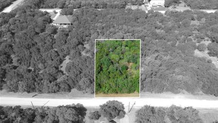 1389 Spanish Oak Trail