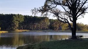 Lot 112 Lot 112 Toler Pointe