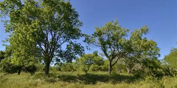 3 Bella Vista Lot 3