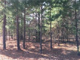 0 Armadillo Dr