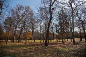 183 Eagles Bluff