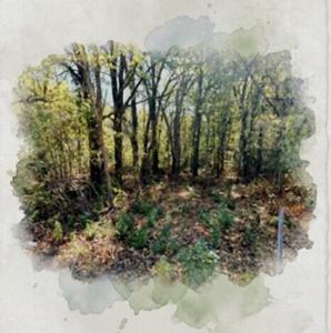 207 Acres Loop