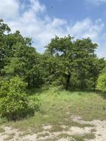Lot 512 Bay Shore
