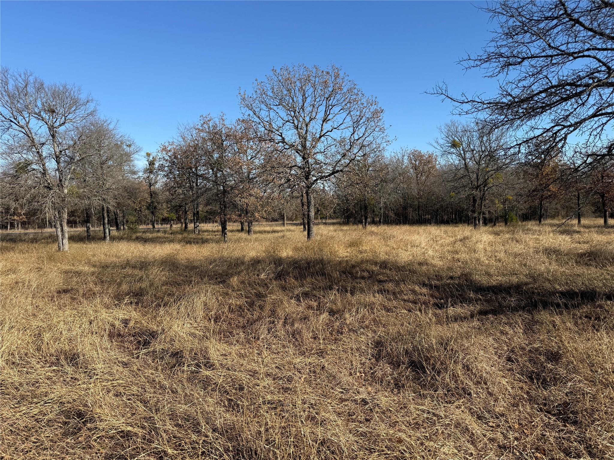 Image 4 Image 4