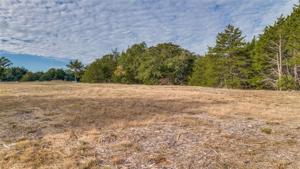 15723 County Road 341