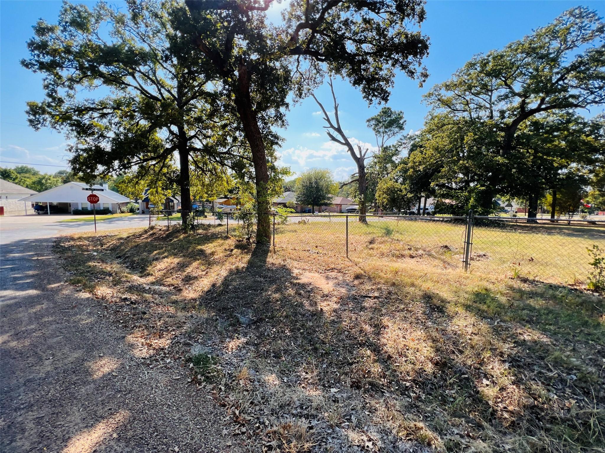 Image 4 Image 4