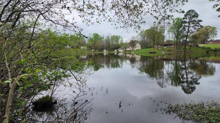 10092 E Lakeshore Drive