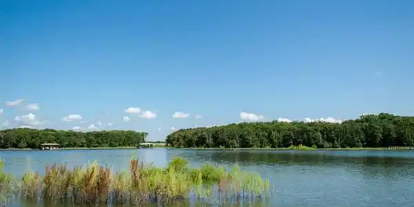 L 242 The Shores Drive Lot 242