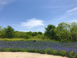 1232 Serenity Court Lot 2547