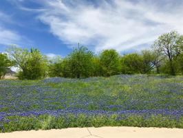 1240 Serenity Court Lot 2549