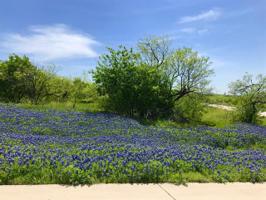1248 Serenity Court Lot 2551
