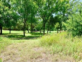 34087 Stonewood Court