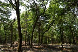 467 County Road 4710