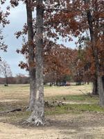 Tract 14 County Road 1730