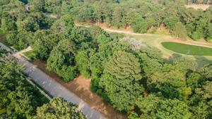 171 Eagles Bluff