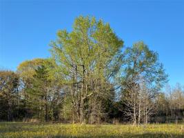 Lot 280 Eland Trail