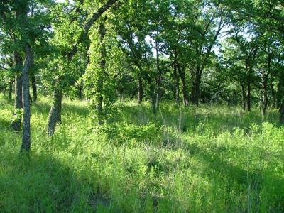 Lot 263 Ridgeline Drive