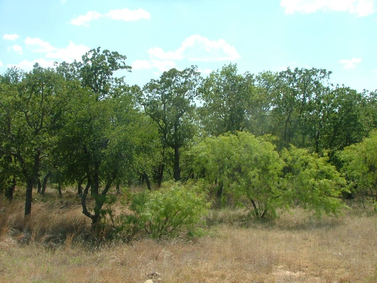 Image 2 Image 2