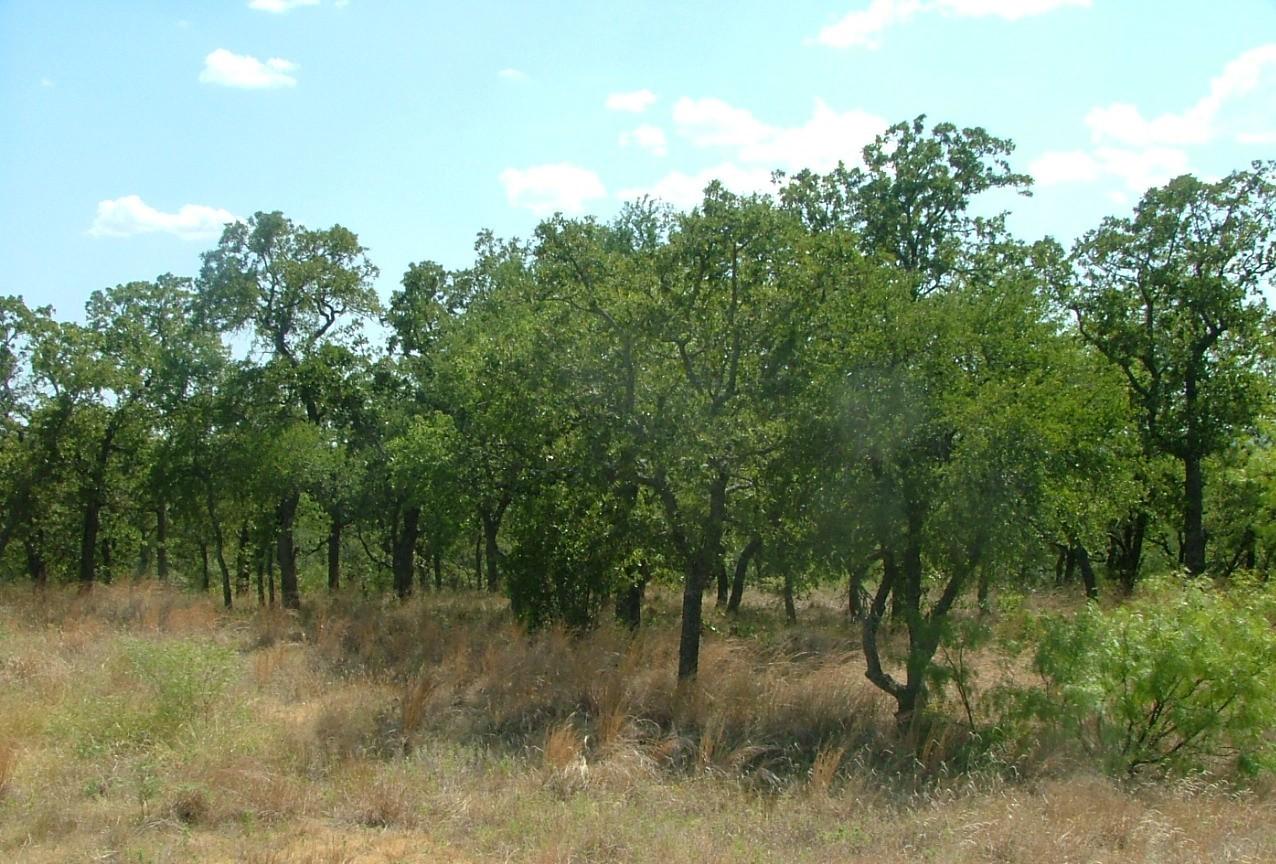 Image 3 Image 3