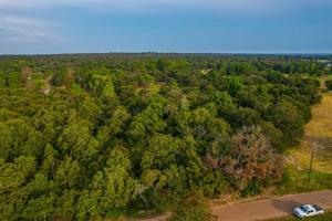 County Road 3704