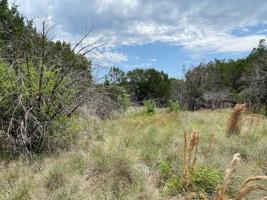 Lot 580 Canyon Wren Loop