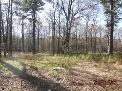 10589 Ferry Lake School Road
