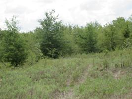 TBD County Rd 2610
