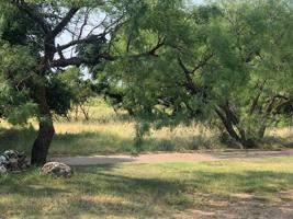 lot 2 Colonial Drive