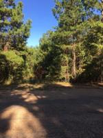 TBD VZ County Road 4804