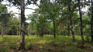 Lot 83 Riner Road