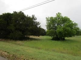 19028 White Bluff Drive