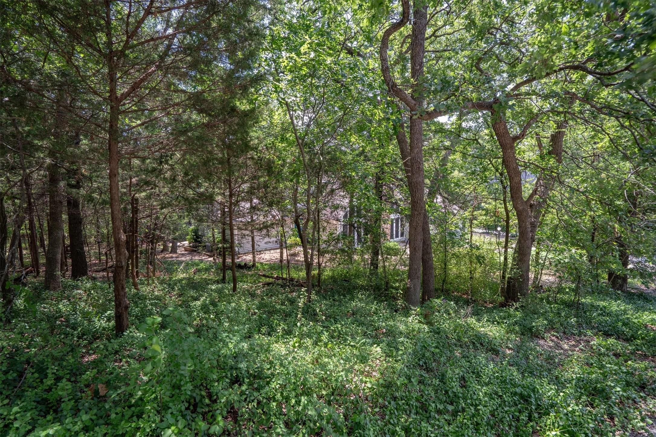 Image 3 Image 3