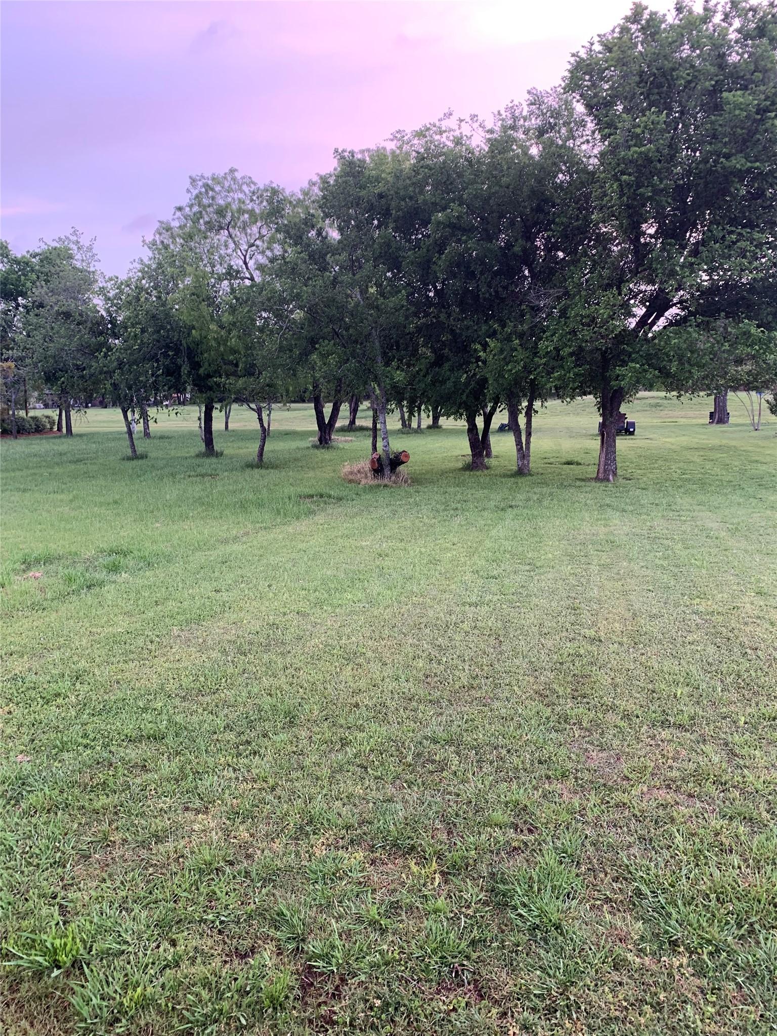 Image 1 Image 1