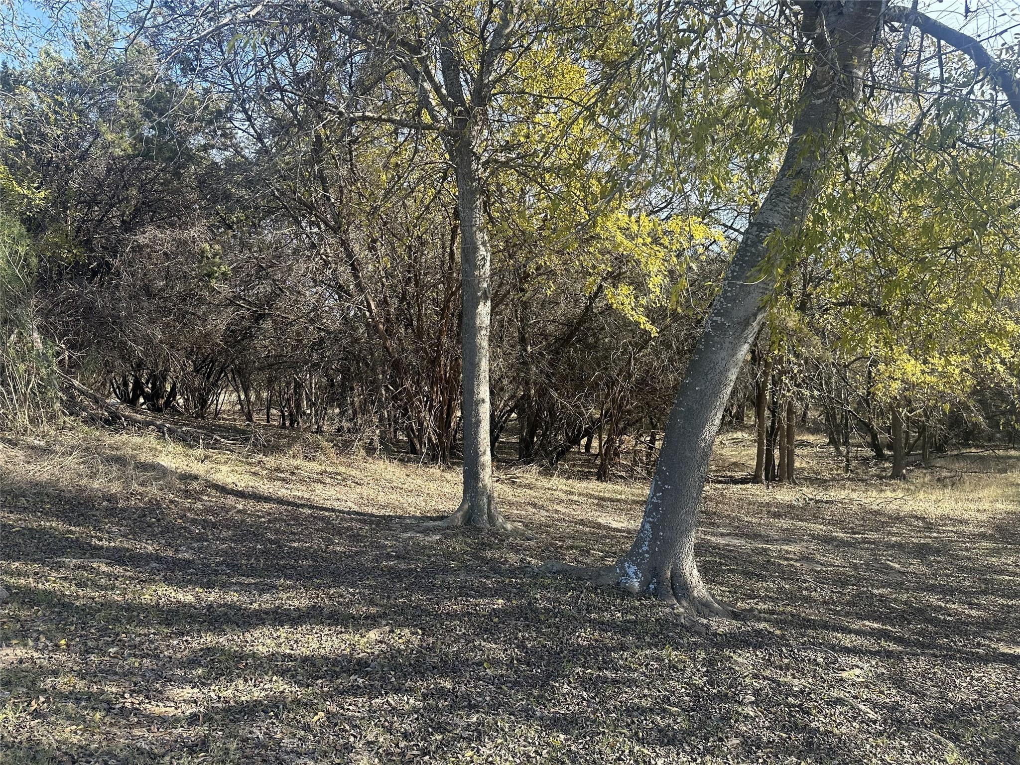 Image 3 Image 3