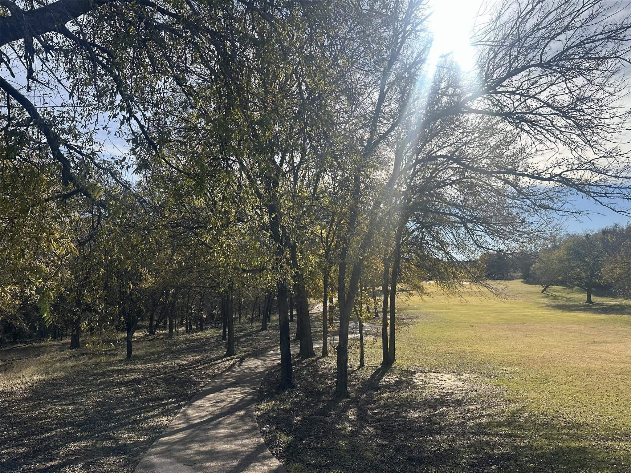 Image 4 Image 4