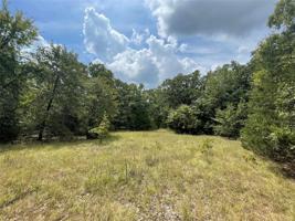 Lot 35 Sunset Boulevard
