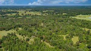 TBD 10 Acres Tr 3 1301 FM 2966