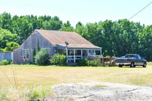 255 County Road 4137
