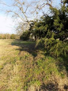 TBD Rs County Road 3410