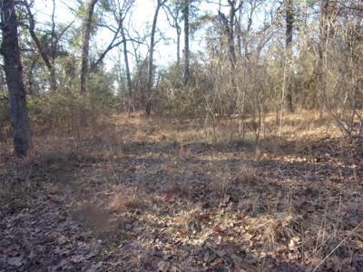 tbd Briar Hill