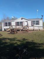 8833 Whiskers Road