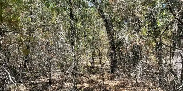 Lot 3 White Tail Ridge