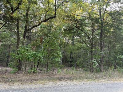 TBD County Road 322A