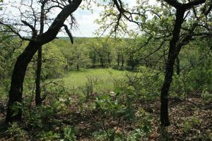 Lot 734 Sandstone Court